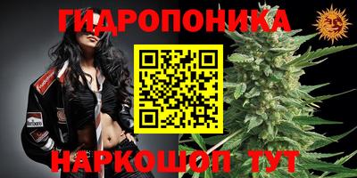 2c-b Новоалександровск