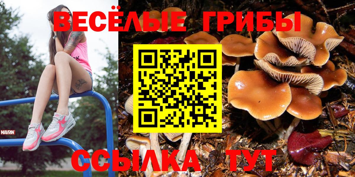 Отрадный  Псилоцибиновые грибы прущие грибы  Вход с VPN 