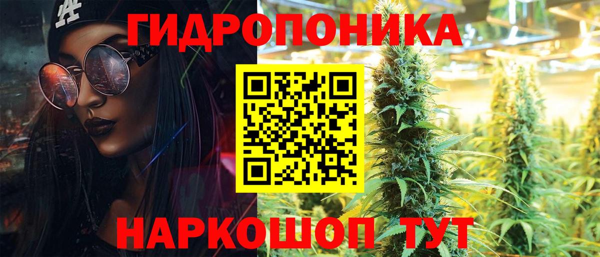Канабис OG Kush Отрадный